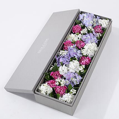 紫色白邊康乃馨8枝、白繡球1枝、藍(lán)紫色繡球1枝